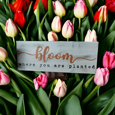 Bloom Where you are Planted Shelf Sitter