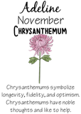 Birth Flower Print