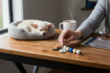Person arranging keys on a wooden table with a small dog resting nearby.