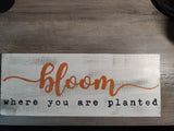 Bloom Where you are Planted Shelf Sitter